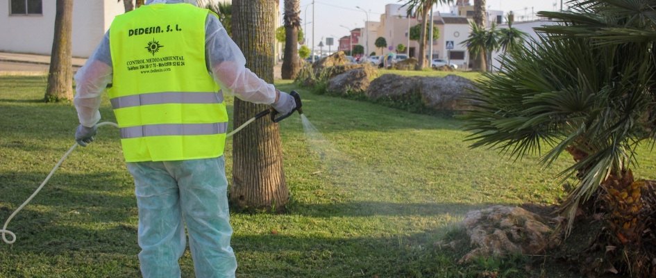 WhatsApp Image 2021-08-03 at 13.25.14