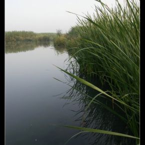 030LPDR_brazodeleste