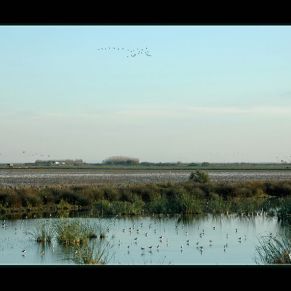 031LPDR_brazodeleste