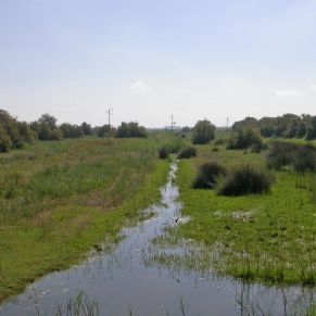 035LPDR_brazodeleste(ppTenorio)