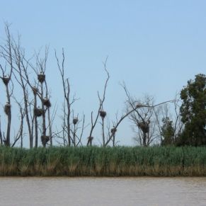 17100265539_bbc45659a8_o