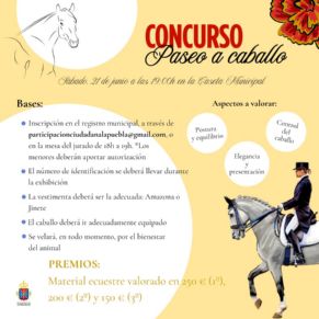 Concursos (7)