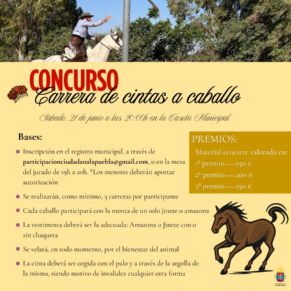 Concursos (8)
