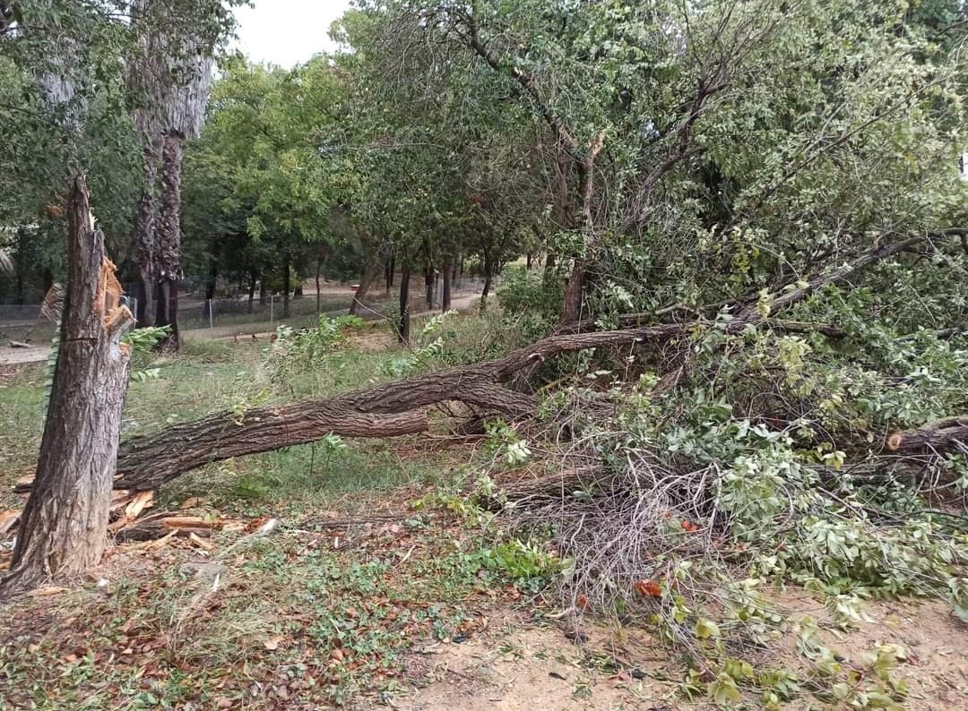 Screenshot_20231020_120447