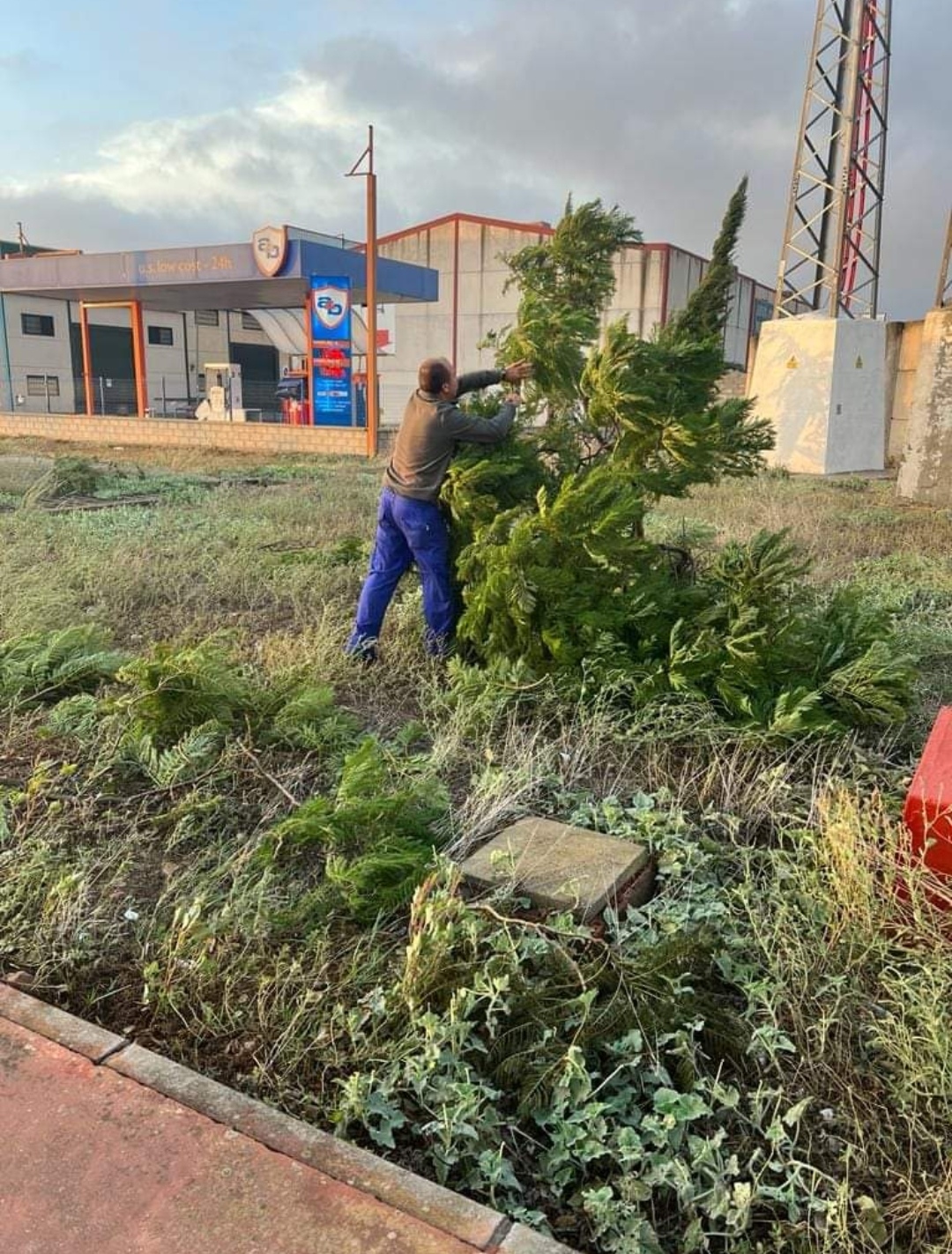 Screenshot_20231023_092545