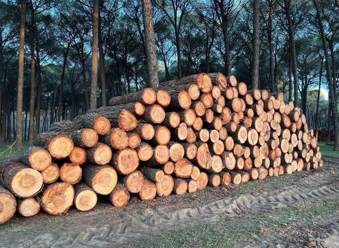 Screenshot_20231023_092608