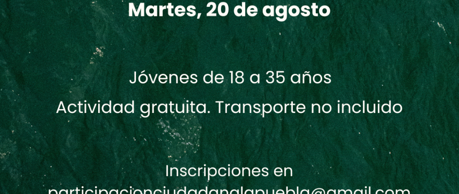 Azul Limpio Informativo Educación Aprendizaje a Distancia Post de Instagram (1080 x 1350 px) (5)