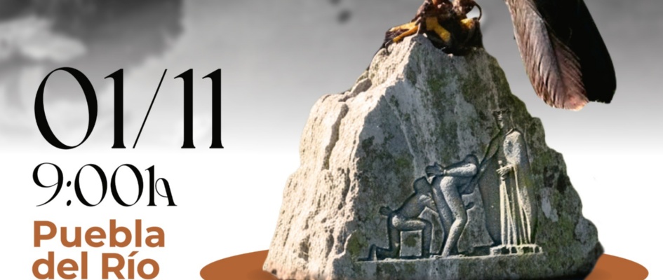 Imagen de WhatsApp 2025-10-11 a las 20.00.07_7cadc8b2