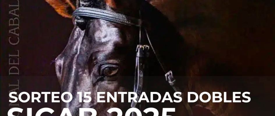 Imagen de WhatsApp 2025-11-19 a las 10.47.23_f8b6da05