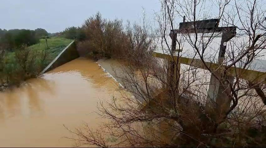 Screenshot_20240212_094848