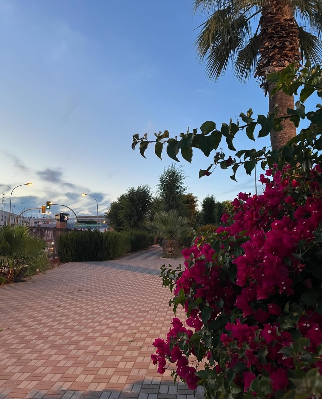 Screenshot_20240619_111719_com.facebook.katana_edit_2701374076203421