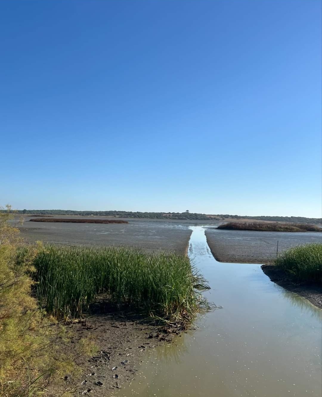 Screenshot_20240711_134150_com.facebook.katana_edit_3988532256801805