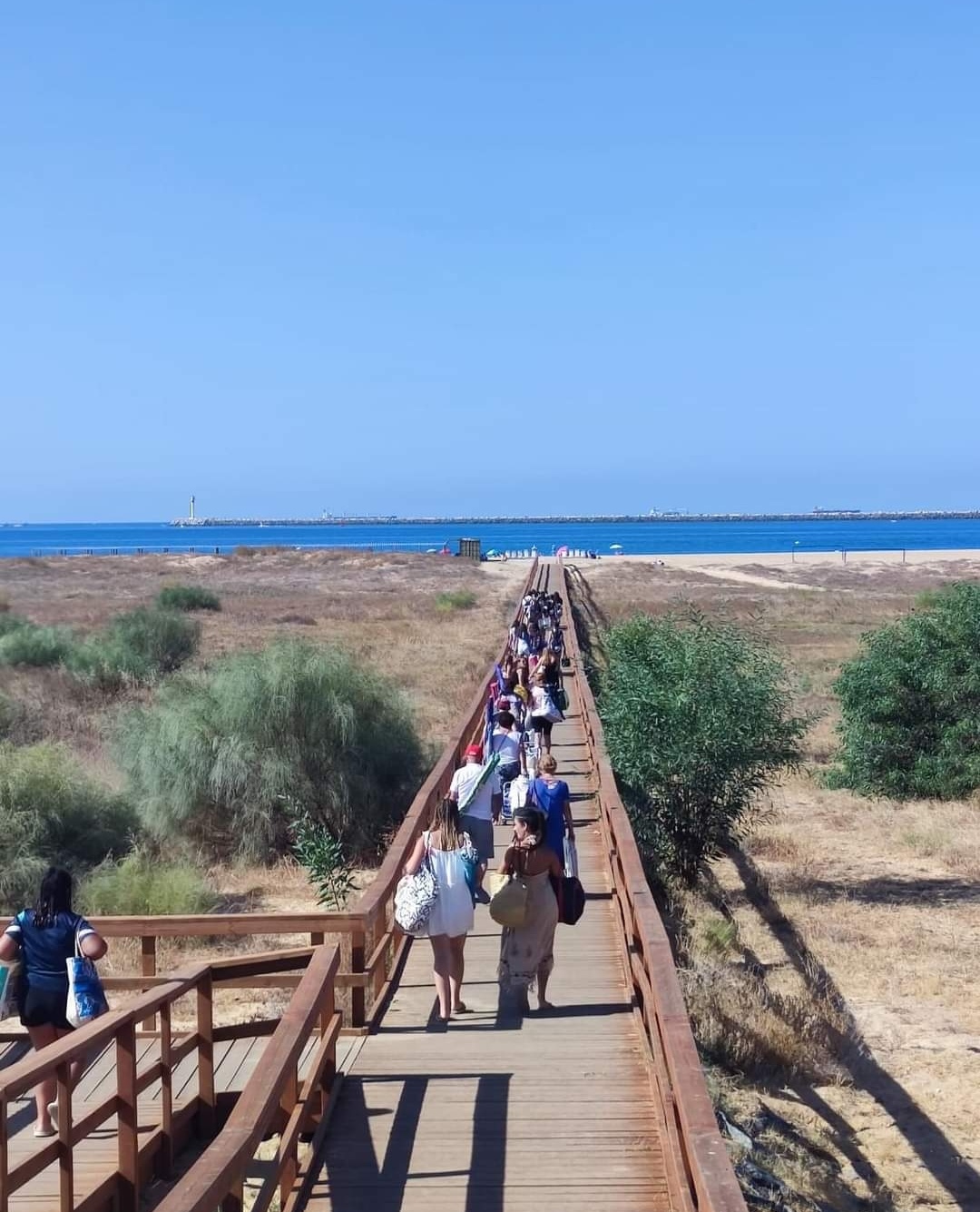 Screenshot_20240805_115015_com.facebook.katana_edit_5389892872967659