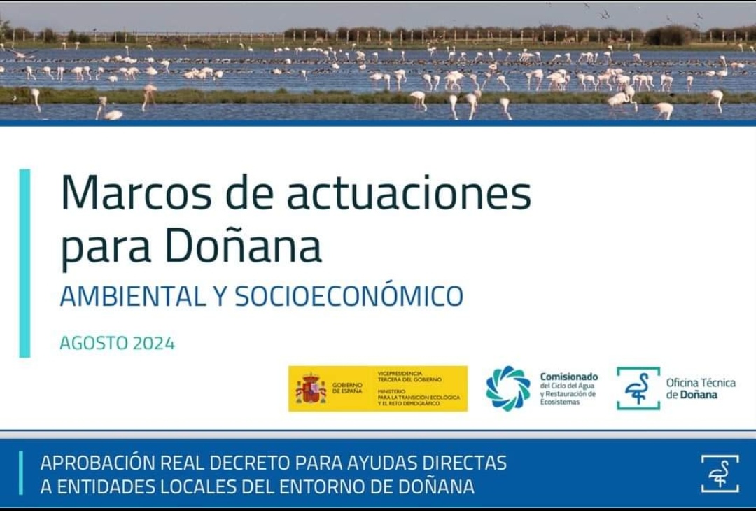 Screenshot_20240828_094654_com.facebook.katana_edit_6798179394815267