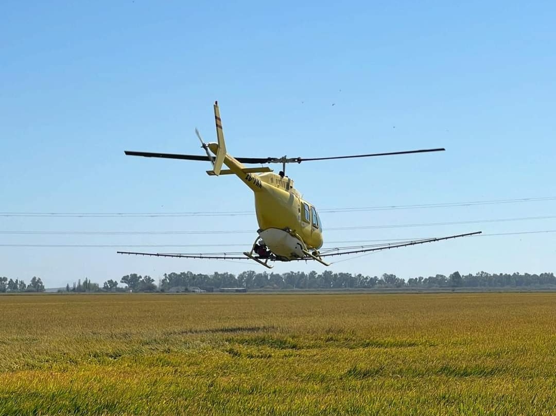 Screenshot_20241003_123732_com.facebook.katana_edit_1873359102096949