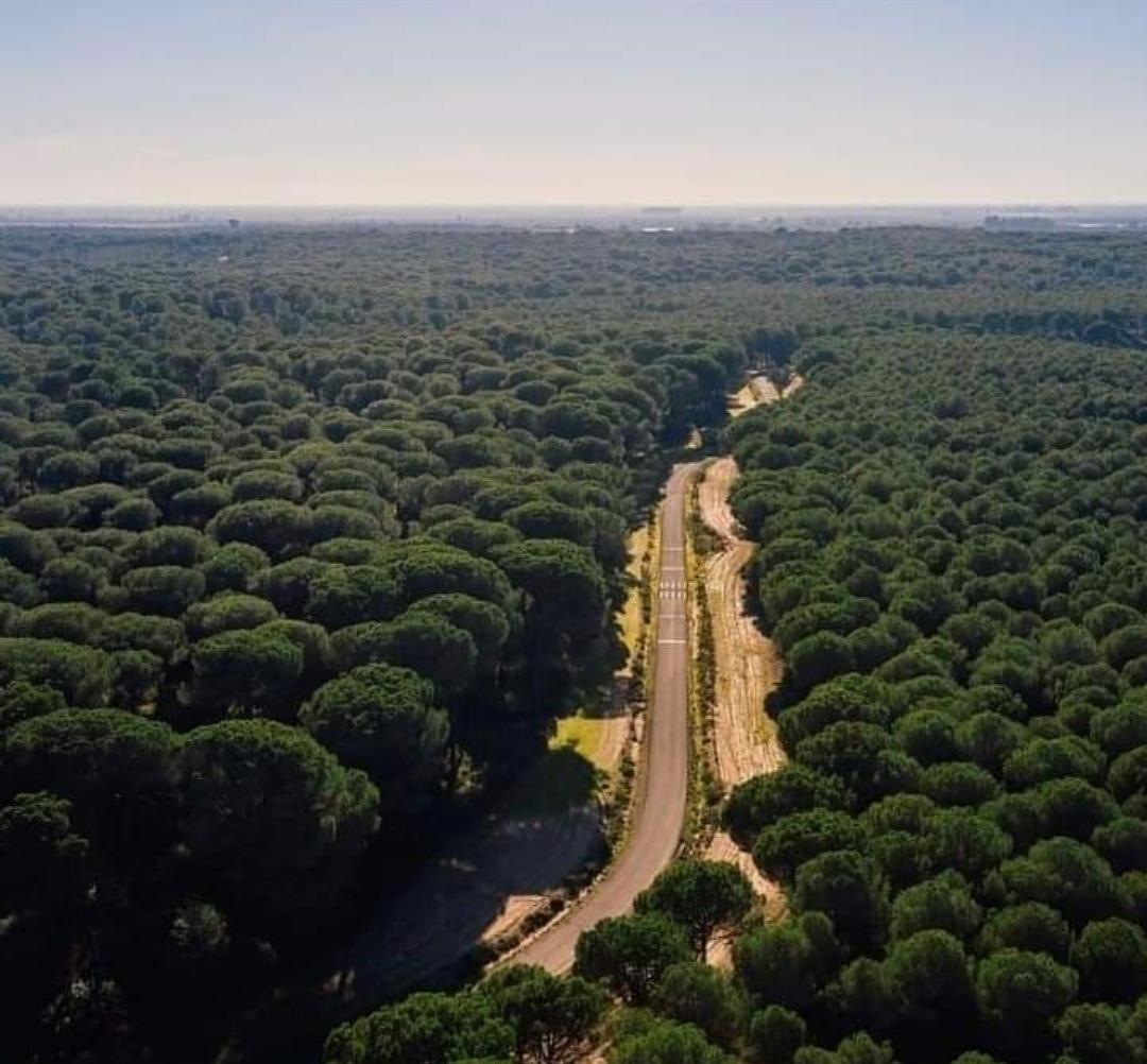 Screenshot_20241023_094806_com.facebook.katana_edit_1117042980936321