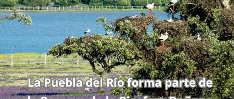 Screenshot_20241028_133204_Facebook