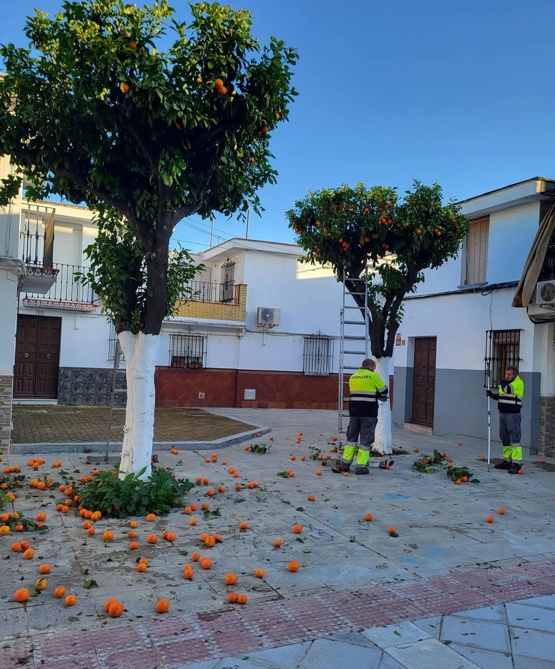 Screenshot_20250210_105451_com.facebook.katana_edit_746853402053225