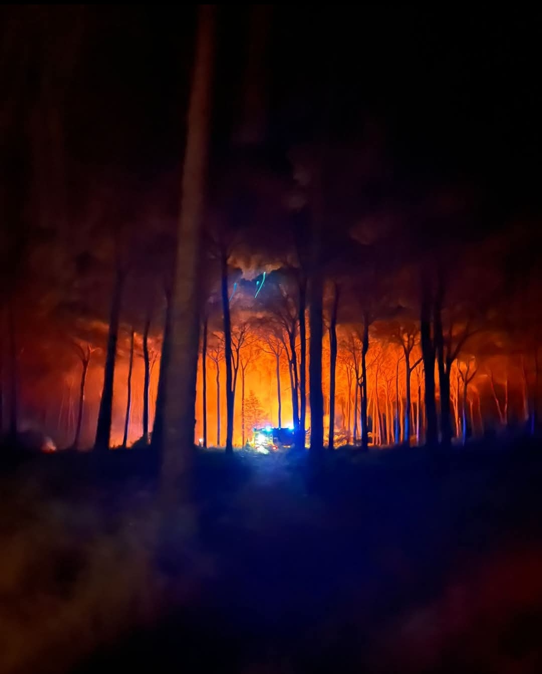 Screenshot_20250721_095143_com.facebook.katana_edit_9023156990211171