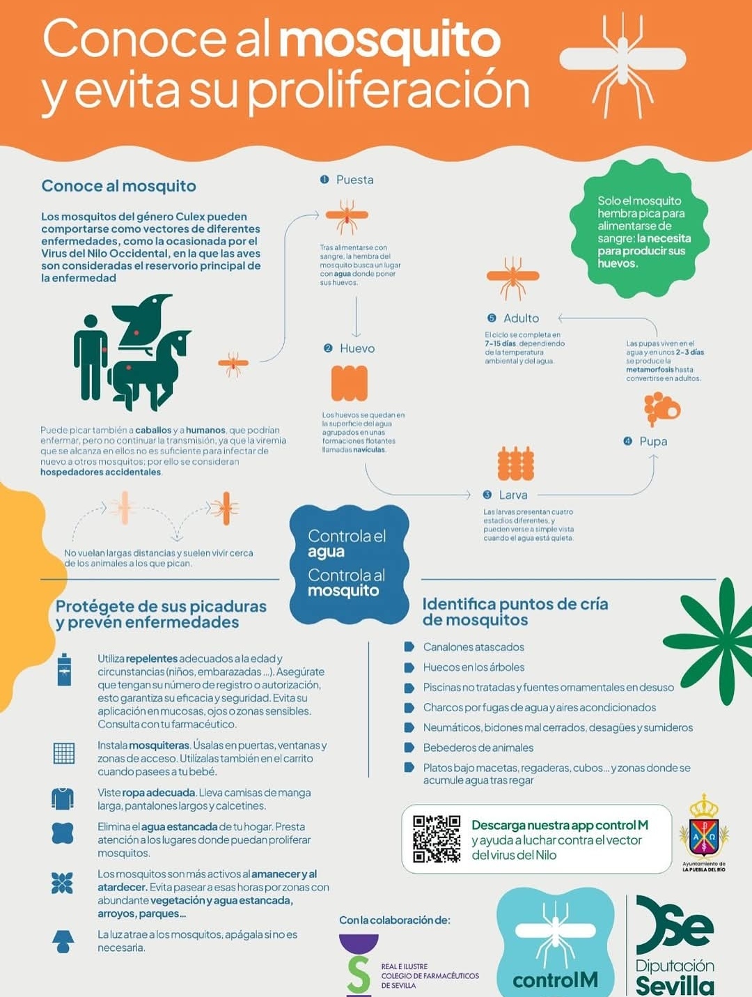 Screenshot_20250731_093334_com.facebook.katana_edit_9550616479750479