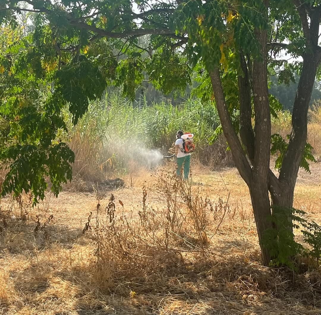 Screenshot_20250825_140907_com.facebook.katana_edit_10834910621258155