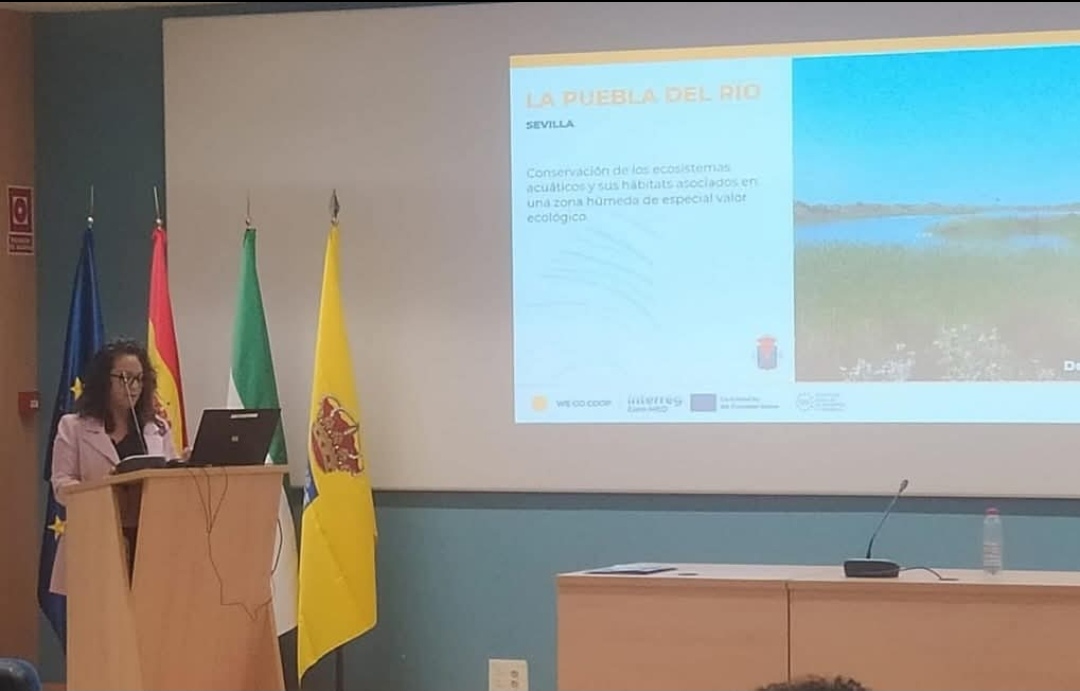 Screenshot_20250924_124221_com.facebook.katana_edit_12474587744148061