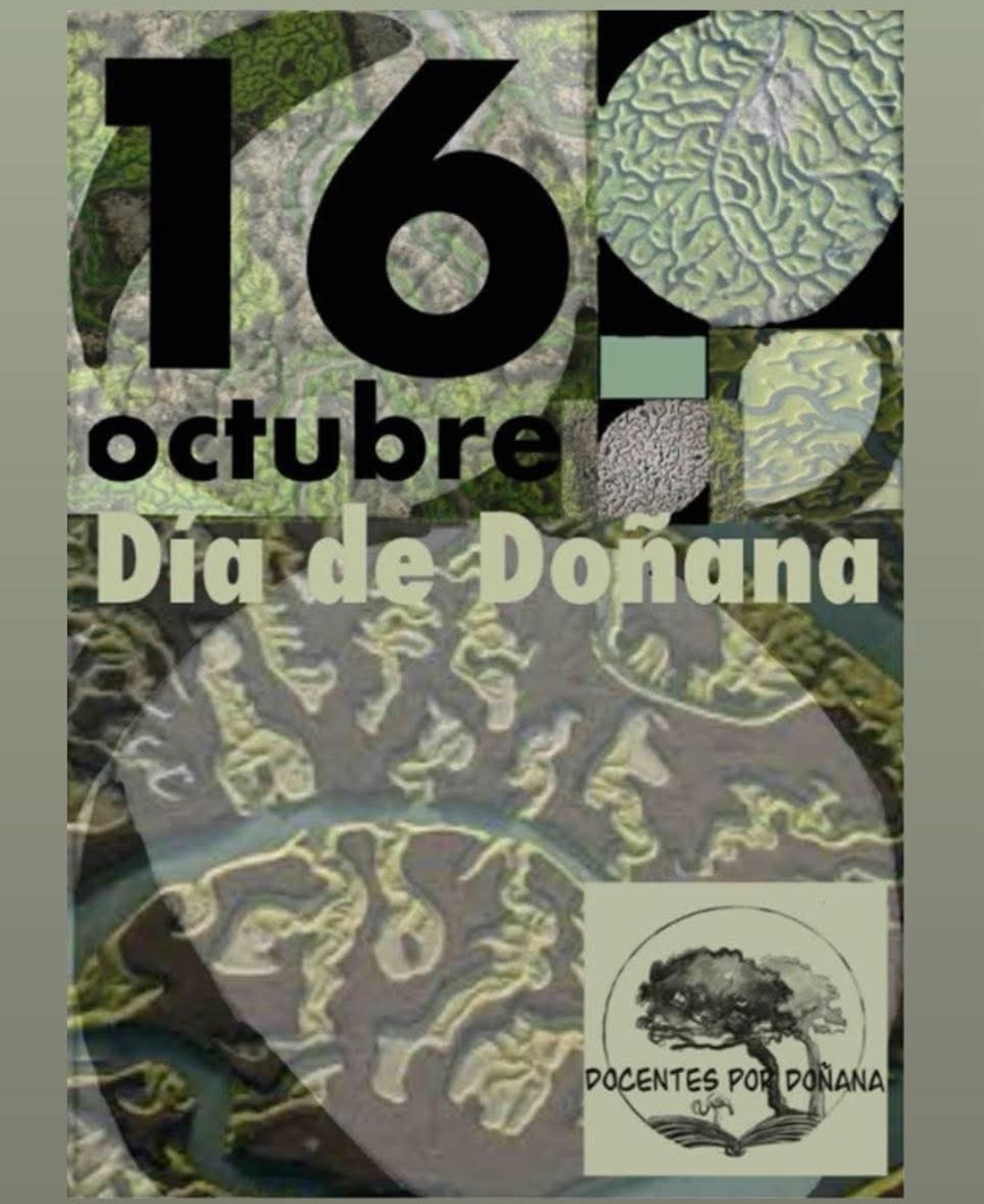 Screenshot_20251017_091639_com.facebook.katana_edit_13715661095446184