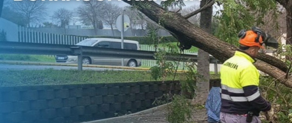 c5ee2631-a4a5-4117-b291-ee473f962eb8